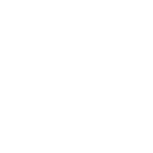 The Flybird Design Logo brand mark